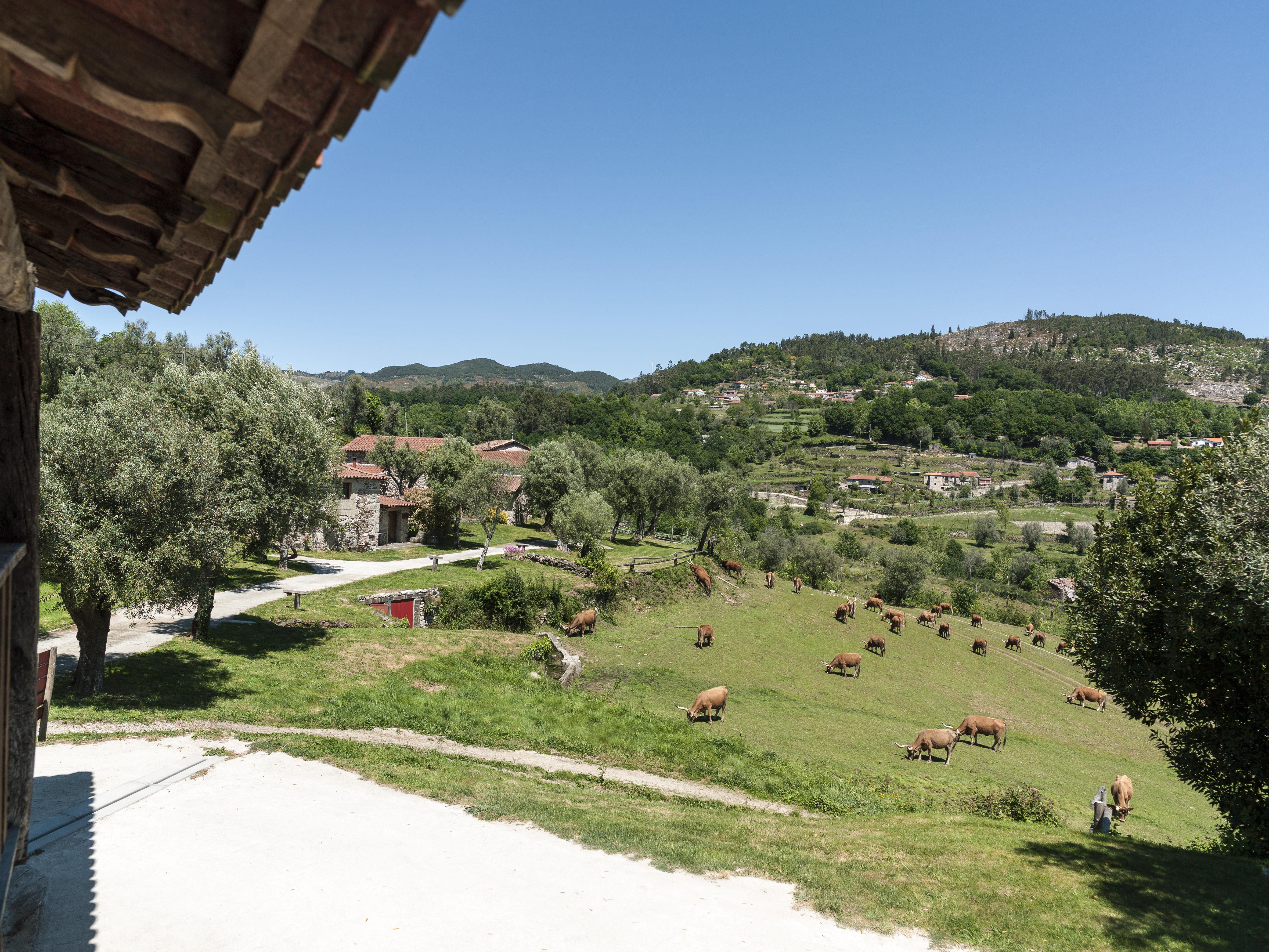 Villa Quinta Do Rapozinho Cabeceiras de Basto Exterior foto